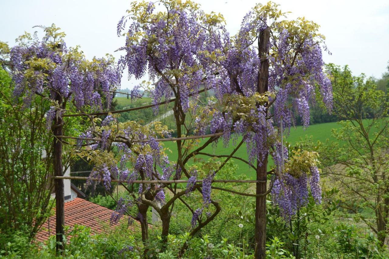 Casa Dei Ciliegi Castell'Alfero Villa Екстериор снимка